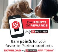 Purina Pro Plan Veterinary Supplements Calming Care Dog Probiotic Anxiety Supplement 30 Sachets - Image 6